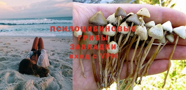 мяу мяу мука Дмитров