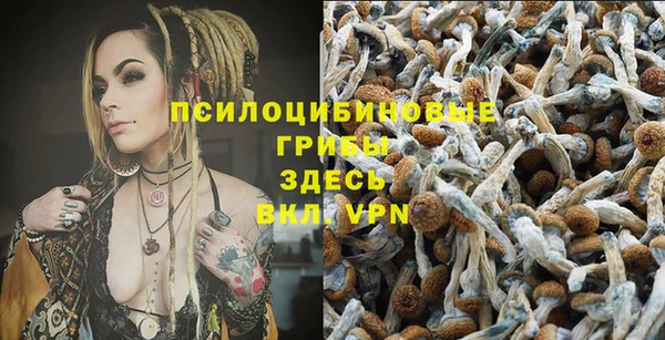 мяу мяу мука Дмитров