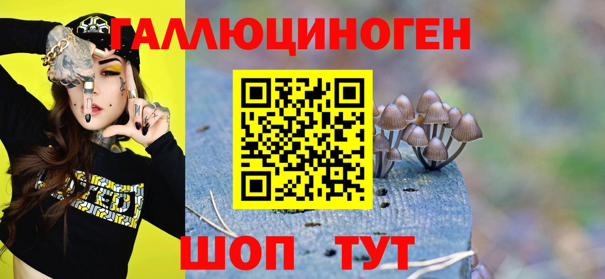 Галлюциногенные грибы мухоморы  Вход с VPN  Карабулак  Псилоцибиновые грибы прущие грибы 