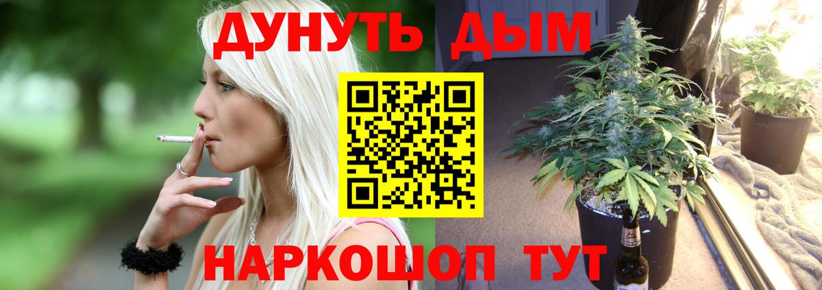 Конопля ГИДРОПОН  Марихуана OG Kush  Карабулак  Вход с VPN 